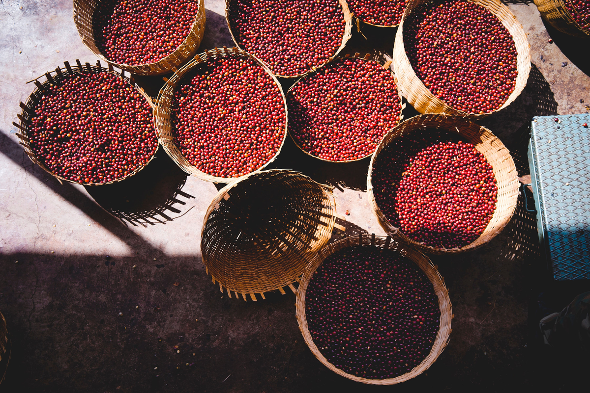 Decaffeinated Flavored Coffee